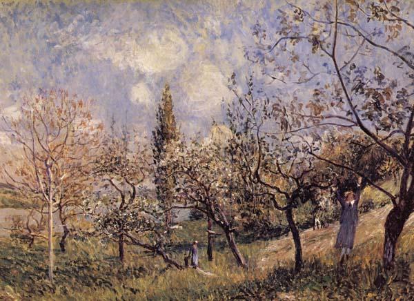 Alfred Sisley Orchard in Sping-By Norge oil painting art